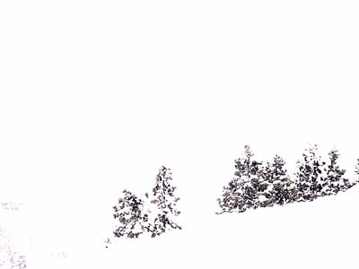 b0019140_152015100.jpg
