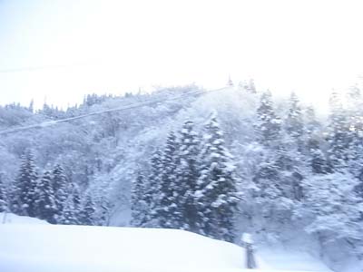 b0019140_15303144.jpg