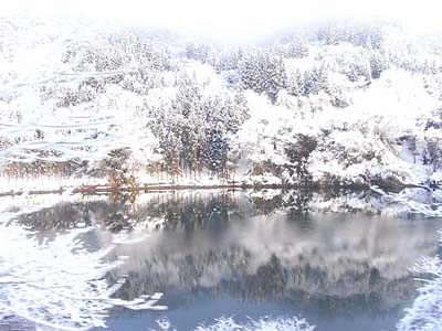 b0019140_1537033.jpg