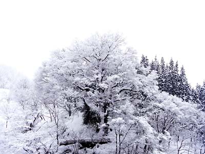 b0019140_15503390.jpg