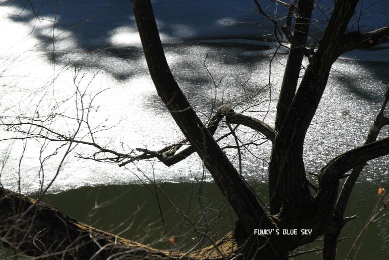 c0145250_12233898.jpg