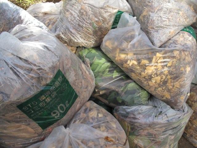 Bagged leaves_c0157558_22572665.jpg