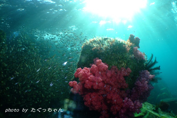 2010.01.09 Sat. 須江_e0158261_6335579.jpg