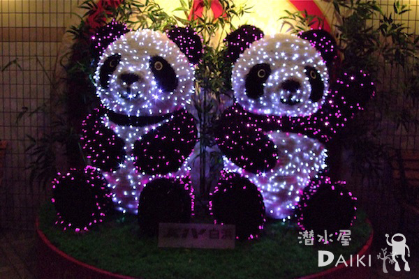 2010.01.09 Sat. 須江_e0158261_6433071.jpg