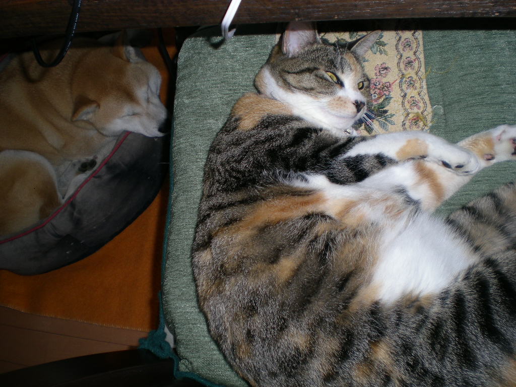 2010年1月12日(火)冬には赤い色が欲し~い!_f0060461_16331190.jpg