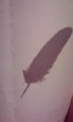 c0162963_072045.jpg