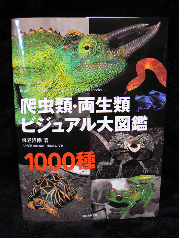 爬虫類 両生類ビジュアル大図鑑1000種 エンドレスゾーン 爬虫類 両生類ビジュアル大図鑑1000種 エンドレスゾーン