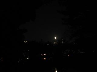 f0148563_1929221.jpg