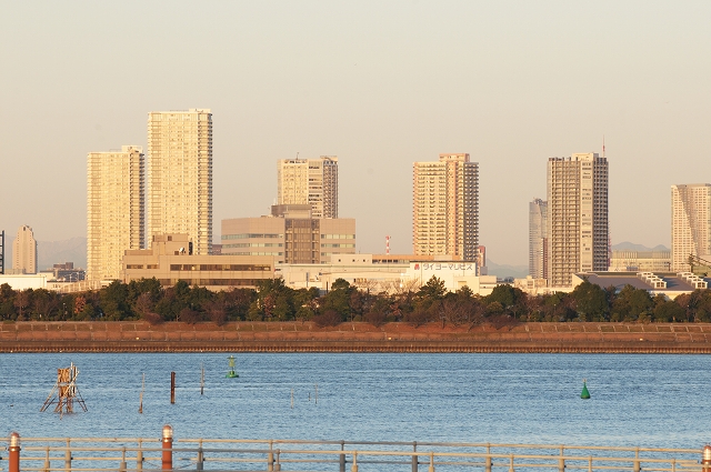 葛西臨海公園_f0018464_20405547.jpg