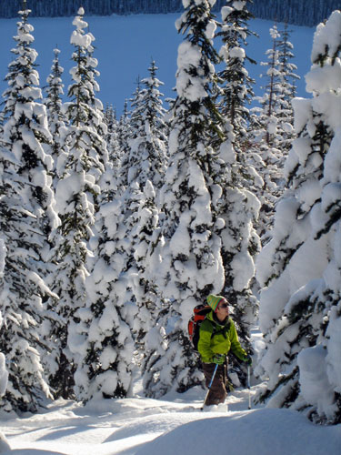 Emerald Peak_b0110880_14174268.jpg