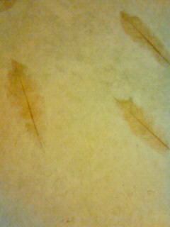 c0135480_23165720.jpg