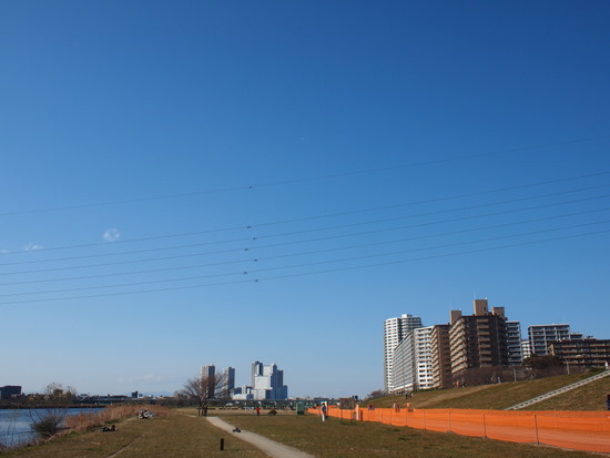 小春日和の土手風景～♪_e0195587_21423459.jpg