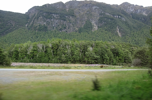 d0103292_20511719.jpg