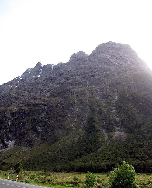d0103292_20592859.jpg