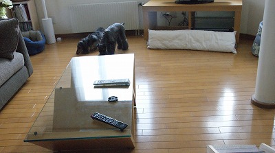 b0151504_12453965.jpg