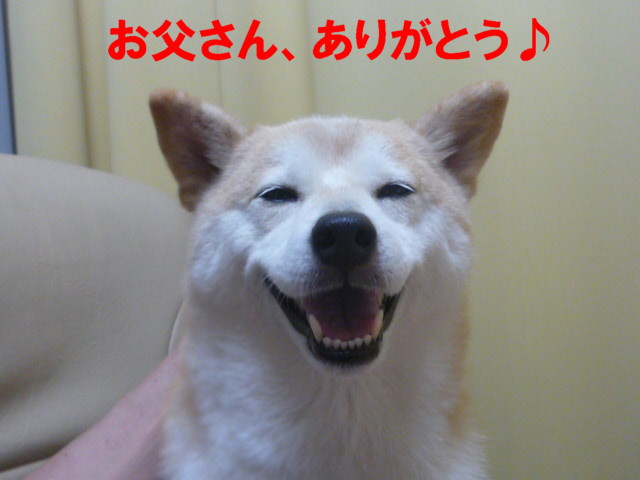 e0131506_22192392.jpg