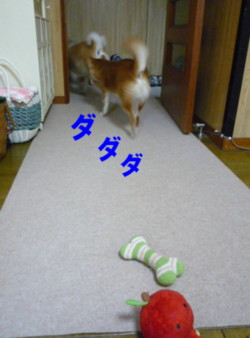 e0131506_22817100.jpg