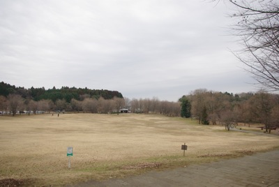 f0138807_1111924.jpg