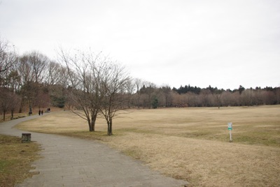 f0138807_1112551.jpg