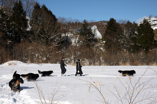 January 9, 2010　雪遊び日和_f0137508_15175344.jpg