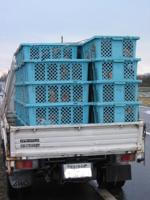 「鶏出し Jan-2010」_a0120513_1933443.jpg