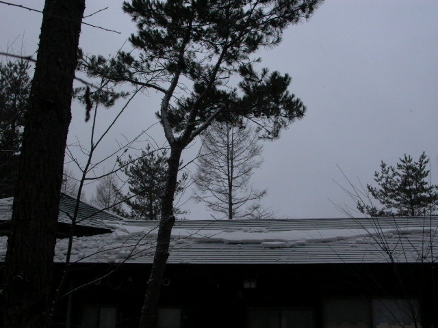 a0150213_0135252.jpg