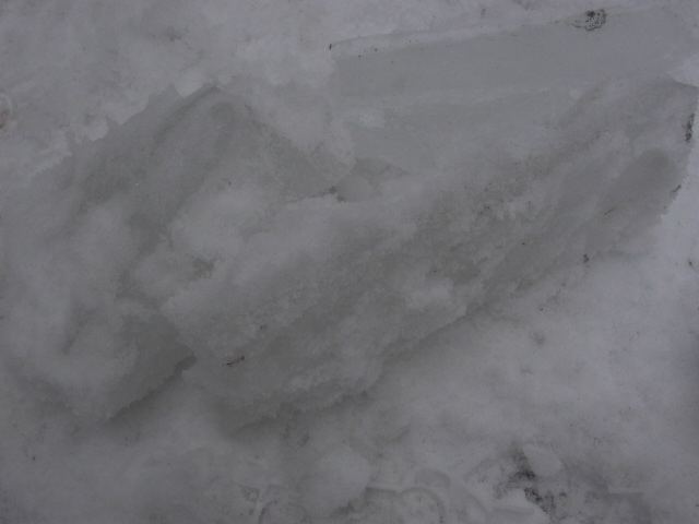 a0150213_062540.jpg