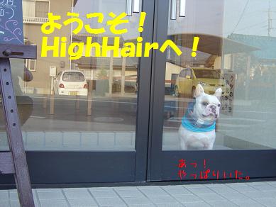 これが、ＨｉｇｈＨａｉｒ・・・でしゅ_a0158613_9271050.jpg