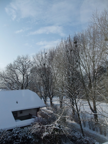 c0167813_144430.jpg