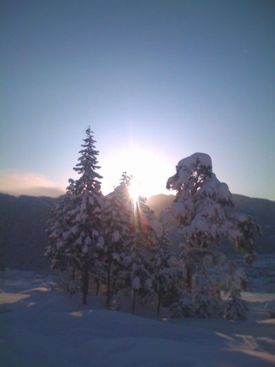 e0132713_2023122.jpg