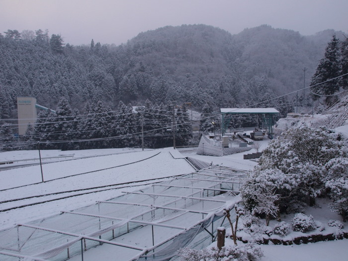 今日の雪景色_c0116915_22362669.jpg