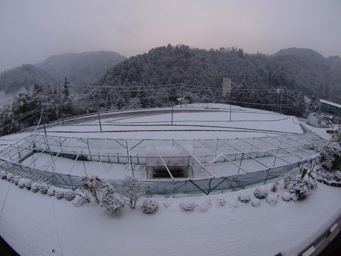 今日の雪景色_c0116915_22374646.jpg