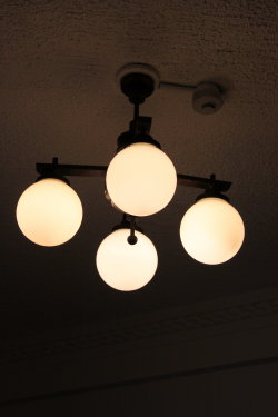 d0072318_743181.jpg