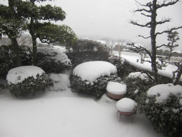 ☆戻りました、大雪でした！_f0145318_22513952.jpg