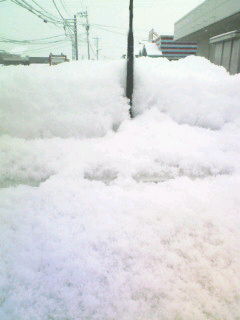 大雪だ～♪_e0107323_1110174.jpg