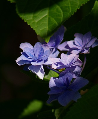f0170524_13462851.jpg