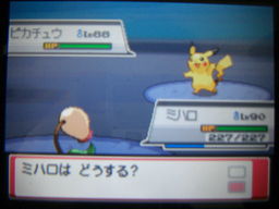 ポケットモンスターハートゴールドプレイ日記 レッド戦4回目 つきねこの日記