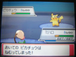 ポケットモンスターハートゴールドプレイ日記 レッド戦4回目 つきねこの日記