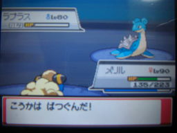 ポケットモンスターハートゴールドプレイ日記 レッド戦4回目 つきねこの日記 ポケットモンスターハートゴールドプレイ日記 レッド戦4回目 つきねこの日記