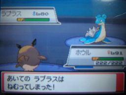 ポケットモンスターハートゴールドプレイ日記 レッド戦4回目 つきねこの日記