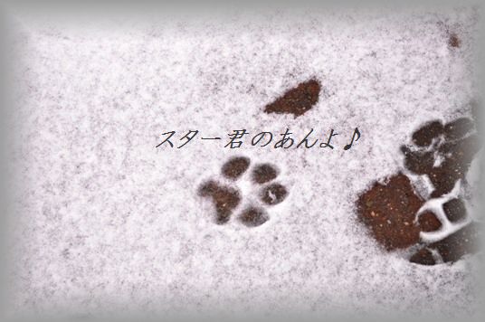 余ったお餅とようかんの超簡単ホットサンド☆_d0104926_05298.jpg