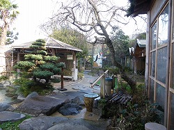 d0086228_1131643.jpg