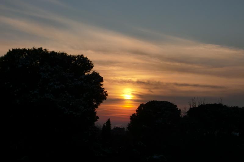 a0021939_8766.jpg