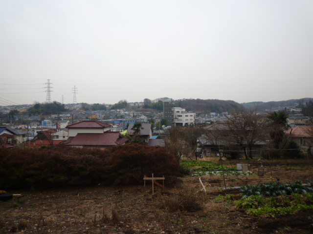 f0070542_852078.jpg