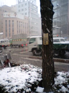 福岡もたまには雪が降ります_e0163443_1051133.jpg