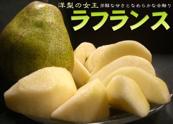 クリスマス・・・なのに　Beyond The Sea(笑)　その４_b0136045_3464661.jpg