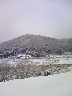 雪_b0181645_1041577.jpg