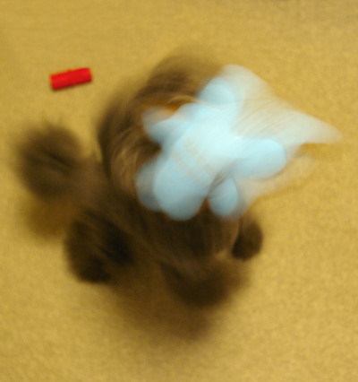 d0026745_692682.jpg