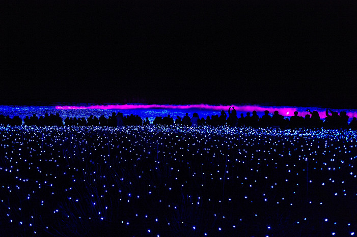 f0152550_21544538.jpg
