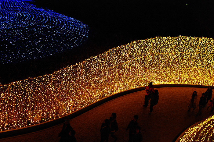 f0152550_21552433.jpg